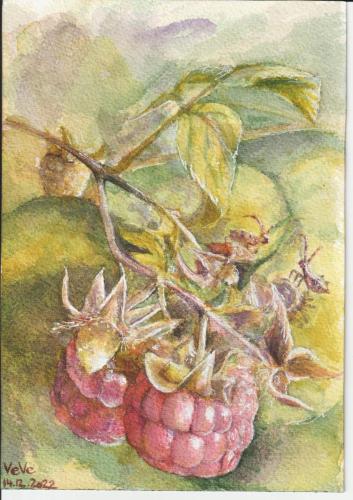 Image (161)